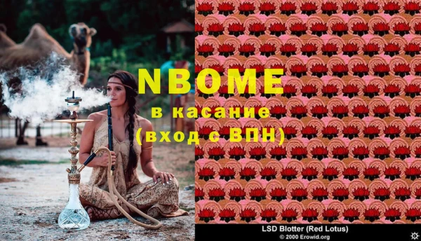 марки nbome Богданович